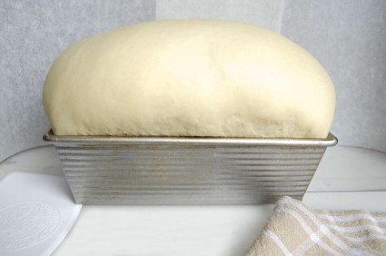 A loaf of bread that's overproofed and about to collapse
