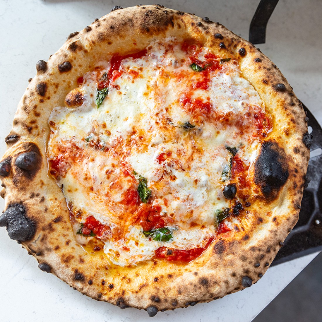 Artisanal woodfired pizza on a peel photographed from above. - select to zoom